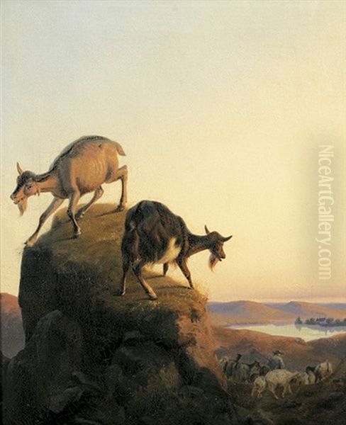 Ziegen Auf Einem Felsen Oil Painting by Friedrich Wilhelm Keyl