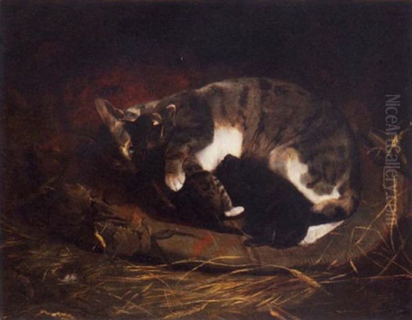 Cat And Kittens Oil Painting by Friedrich Wilhelm Keyl