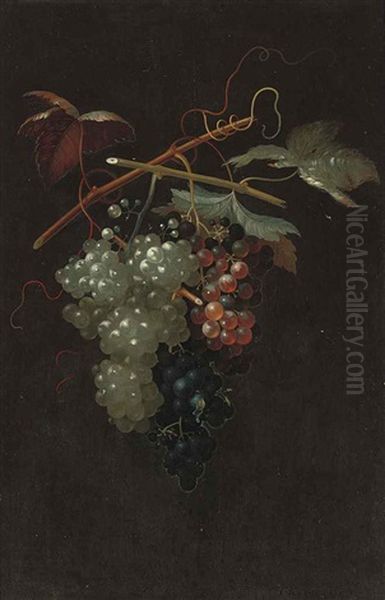 Bunches Of White, Black And Red Grapes Oil Painting by Thomas Keyse