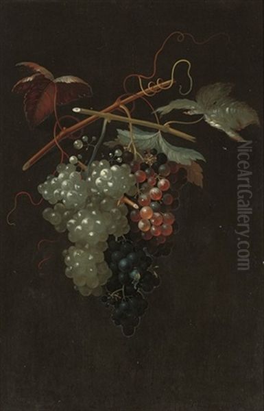 Bunches Of White, Black And Red Grapes Oil Painting by Thomas Keyse