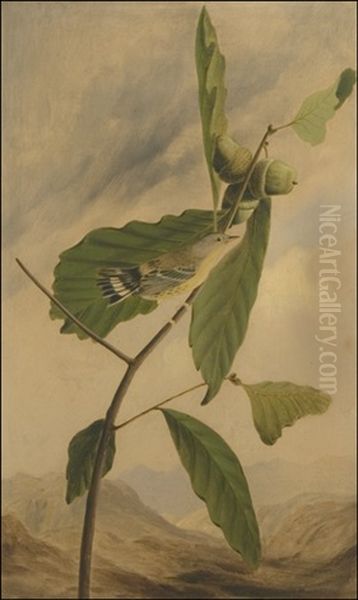 Black And Yellow Warbler, Dendroida Magnolia (after John James Audubon) Oil Painting by Joseph Bartholemew Kidd