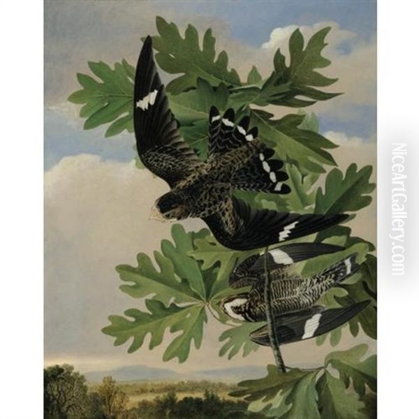 Common Night Hawk And The White Oak Oil Painting by Joseph Bartholemew Kidd