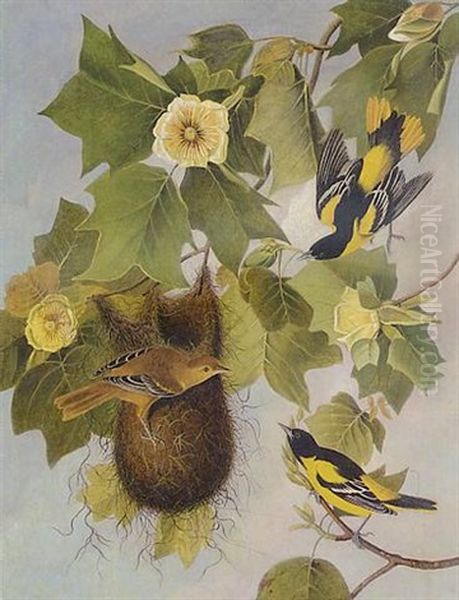 The Baltimore Oriole Oil Painting by Joseph Bartholemew Kidd