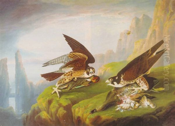 Peregrine Falcon Oil Painting by Joseph Bartholemew Kidd