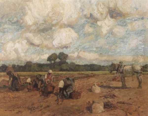 Frauen Auf Dem Feld Bei Der Kartoffelernte Oil Painting by Franz Kiederich