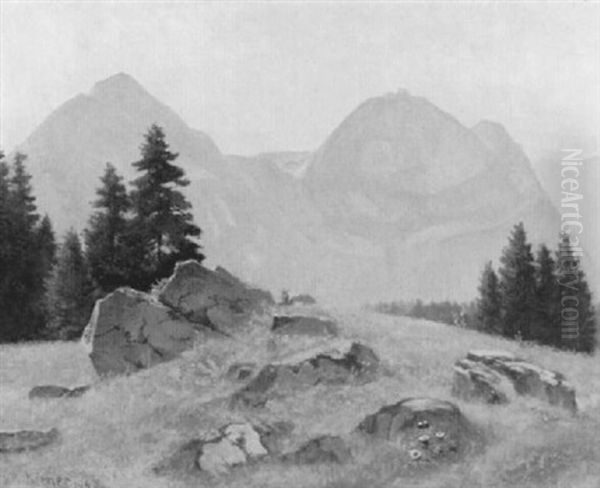 Blick Uber Eine Grasbewachsene Hugelkuppe Zum Schwefelberg Oil Painting by Robert Kiener