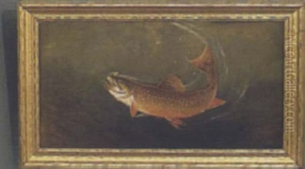 Trout Hooked On A Fly Oil Painting by Samuel A. Kilbourne