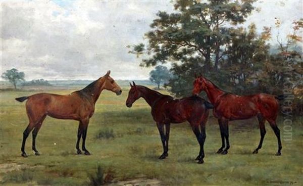 Portrait Of Three Horses In A Field Oil Painting by George Goodwin Kilburne