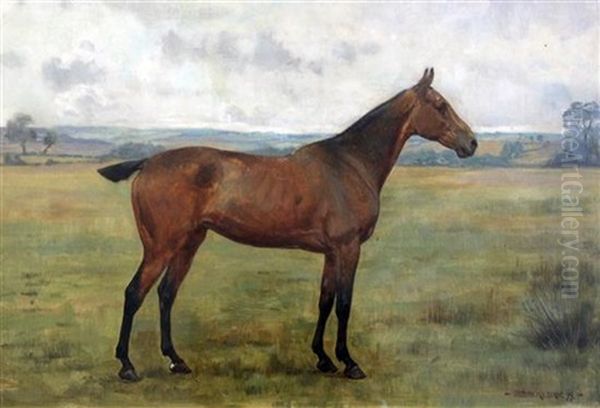 Portrait Of A Horse In A Field Oil Painting by George Goodwin Kilburne