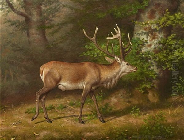 A Deer Oil Painting by Friedrich Anton Kilp