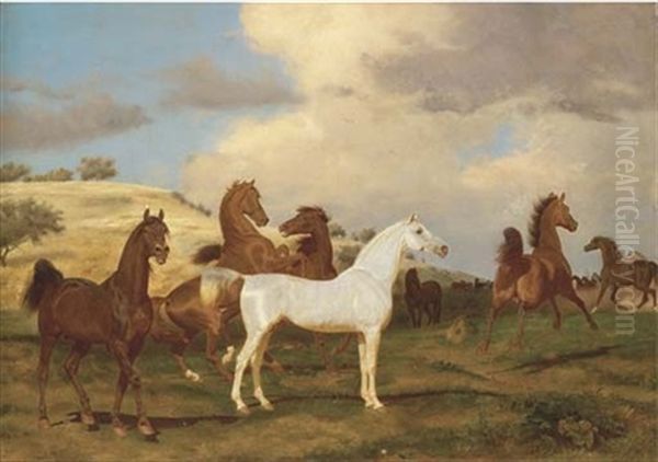 Horses In A Landscape Oil Painting by Friedrich Anton Kilp