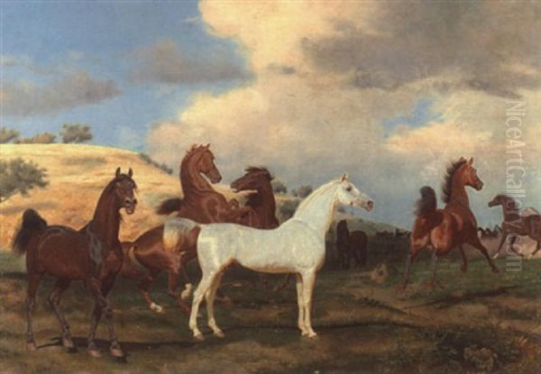 Hengste Auf Der Weide Oil Painting by Friedrich Anton Kilp