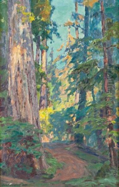 Morning In The Redwoods Oil Painting by Aaron Edward Kilpatrick