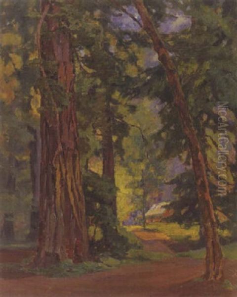 A Cabin In The Redwoods (no.330) Oil Painting by Aaron Edward Kilpatrick