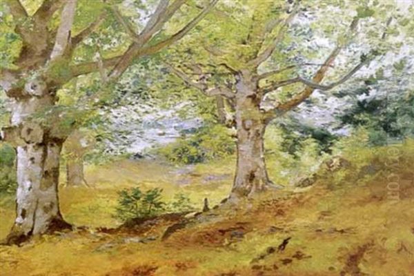 View Through The Trees Oil Painting by Charles Frederick Kimball