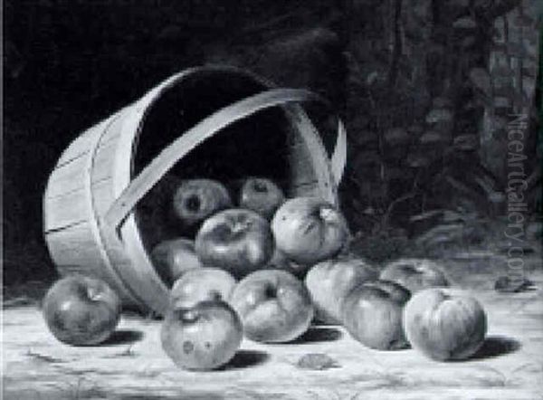 Apples In A Basket Oil Painting by Albert Francis King