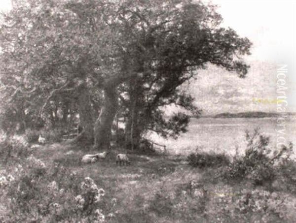 Sheep Grazing In A Field Oil Painting by Henry John Yeend King