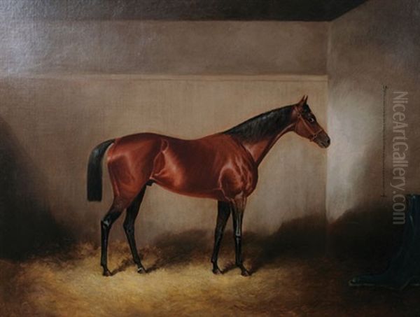 Horse In A Stable Oil Painting by James S. Kinnear