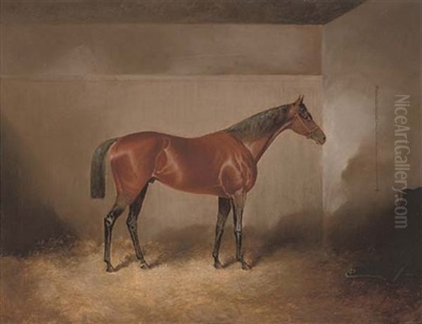 A Bay Hunter In A Stable by James S. Kinnear