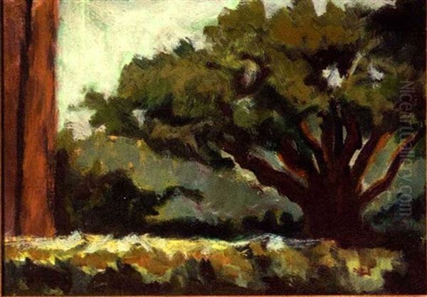 Live Oak By The Old Barn by Alberta Kinsey