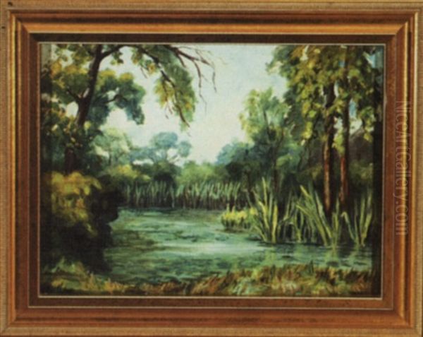 Louisiana Swamp by Alberta Kinsey