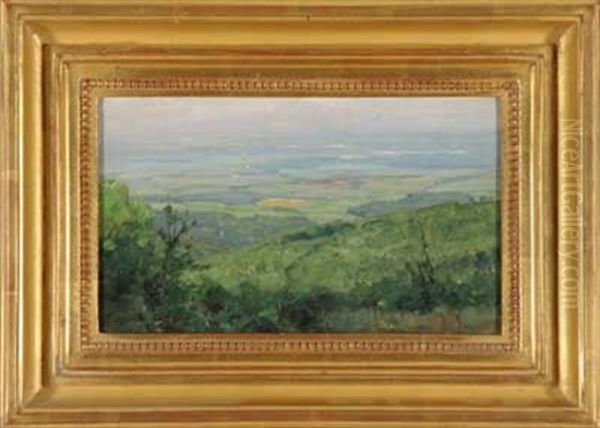 Blick In Eine Sommerliche Ebene Oil Painting by Nelson Gray Kinsley