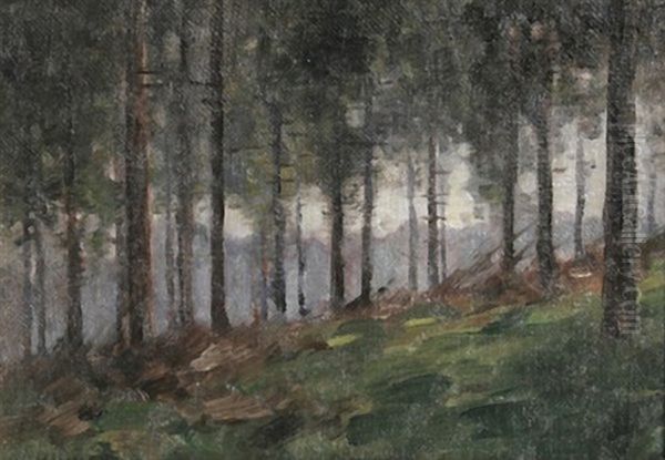 Waldstuck Bei Schonau Im Schwarzwald Oil Painting by Nelson Gray Kinsley