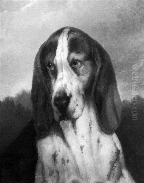 Head Of Bassett Hound Oil Painting by Carl Fredrik Kiorboe