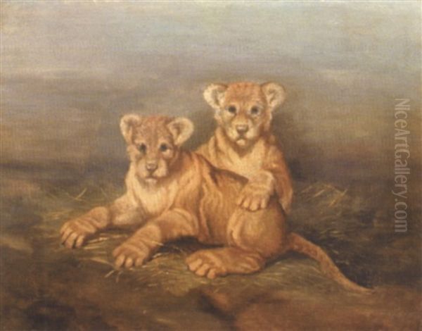 Lionceaux Oil Painting by Carl Fredrik Kiorboe