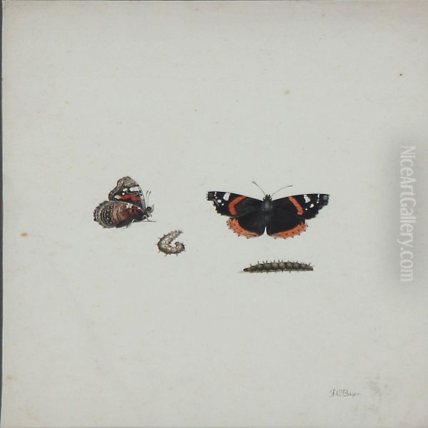 Summerbirds And Larvae Oil Painting by Johann Christoph Bayer