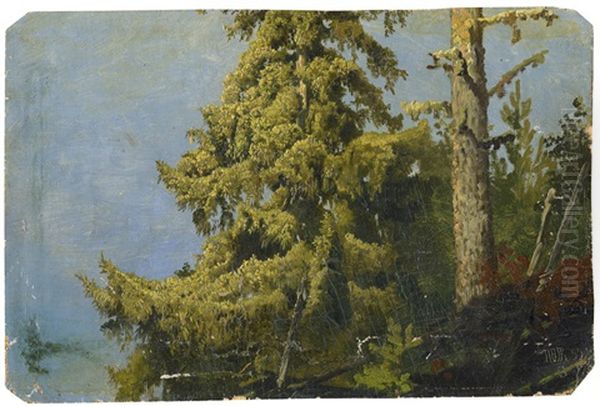 Waldpartie Mit Nadelbaumen Oil Painting by Anton Edvard Kjeldrup