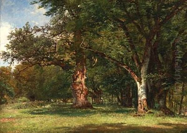 Summer Day In The Deer Garden With Oak Trees, Denmark Oil Painting by Anton Edvard Kjeldrup