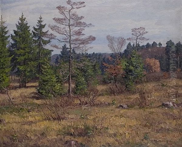 Autumn In The Heath Oil Painting by Maximilian Klein Von Diepold