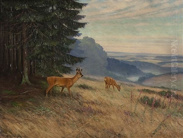 Rotwild Am Waldrand Oil Painting by Maximilian Klein Von Diepold