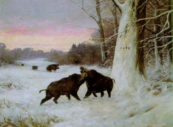 Wildschweinrudel Im Abendlichen Winterwald by Maximilian Klein Von Diepold