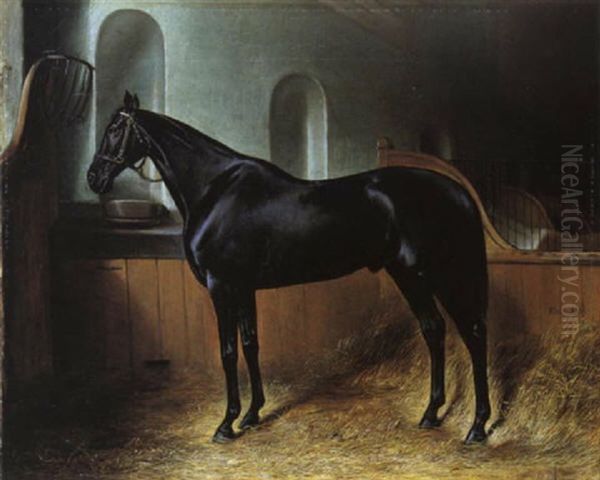 Das Pferd Mittneid Im Stall Oil Painting by Johann Adam Klein