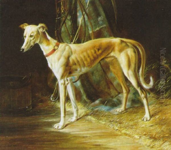 Der Windhund Oil Painting by Johann Adam Klein