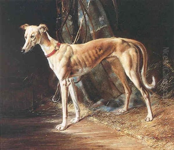 Der Windhund Oil Painting by Johann Adam Klein