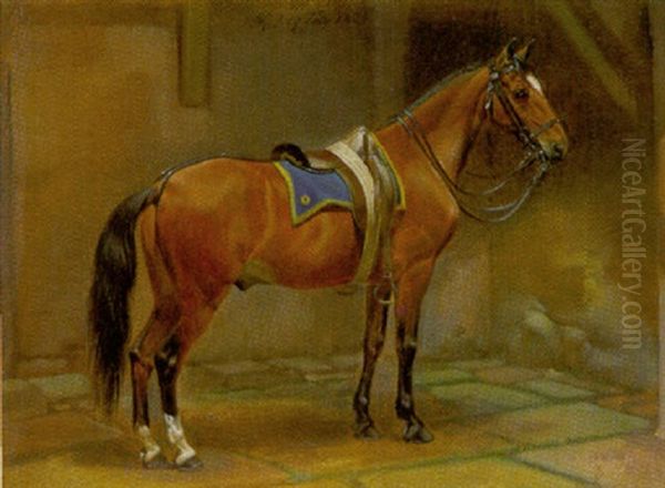 Braunes Pferd, Gesattelt Im Stall Oil Painting by Johann Adam Klein