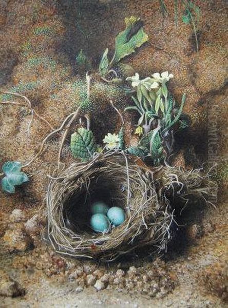 Still-life With Birds Nest And Eggs, Amongst Flowers And Foliage Oil Painting by Frederick Thomas Baynes