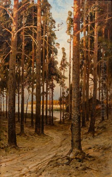 A Forest Landscape Oil Painting by Yuliy Yulevich (Julius) Klever