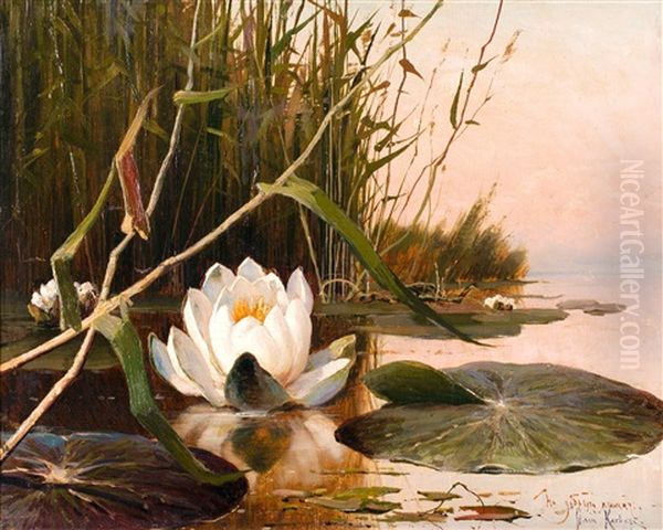 Water Lily by Yuliy Yulevich (Julius) Klever