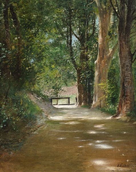 Allee Im Park Oil Painting by Nikolai Alexandrovich Klodt