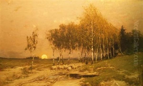 Sheep In A Wood At Sunset Oil Painting by Robert Kluth