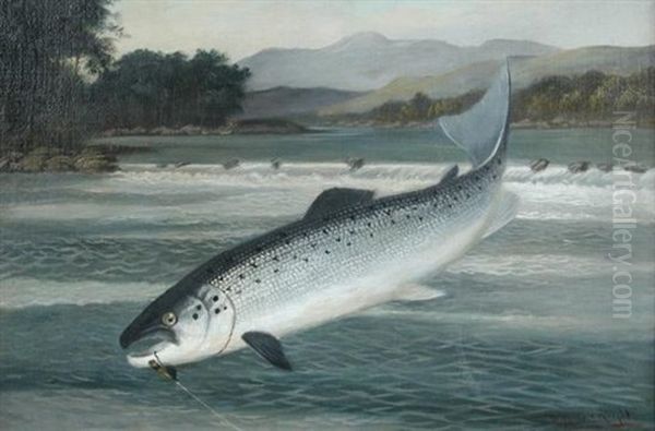 Salmon On The Fly Oil Painting by A. Roland Knight