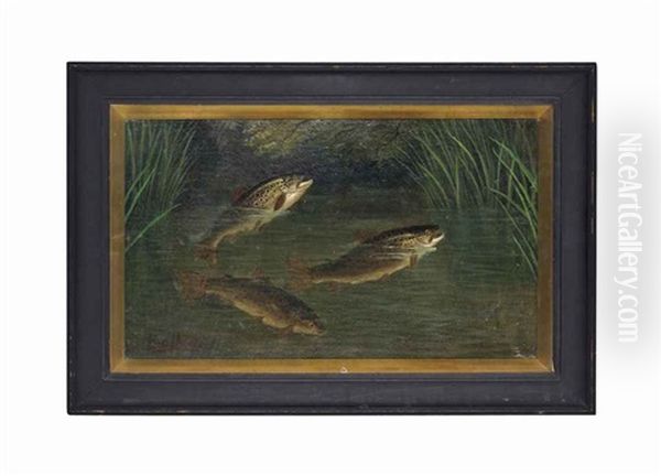 Trout In A River Oil Painting by A. Roland Knight