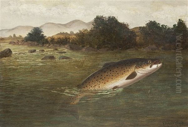 A Brown Trout Jumping (+ The Days Catch With A Creel; Pair) Oil Painting by A. Roland Knight