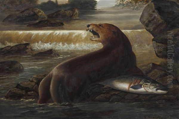 Otter And Salmon On A River Bank by A. Roland Knight