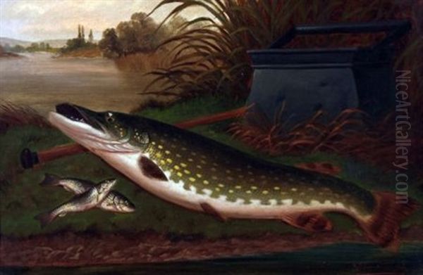 Pike On Riverbank Oil Painting by A. Roland Knight