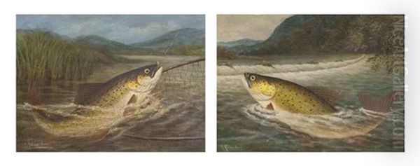 Taking The Fly (+ The Fly Fisherman's Net; Pair) Oil Painting by A. Roland Knight